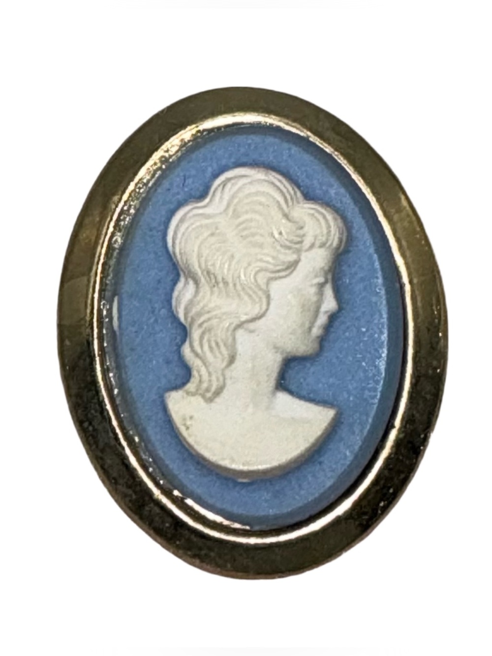 Vintage Classic Blue Cameo Brooch